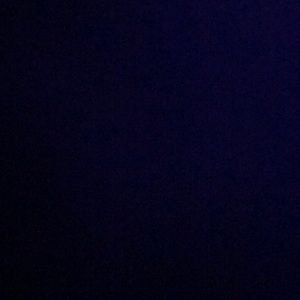 Meet your Posher, Gracie